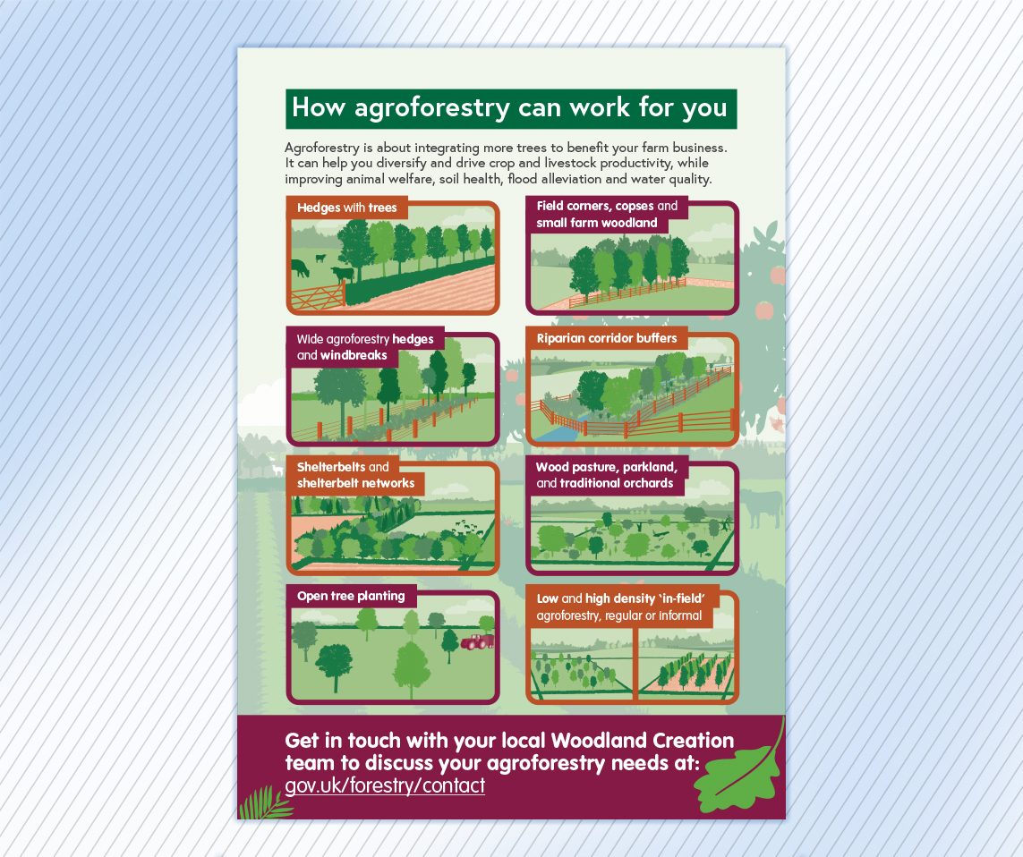 Forestry Commission Agroforestry leaflet reverse